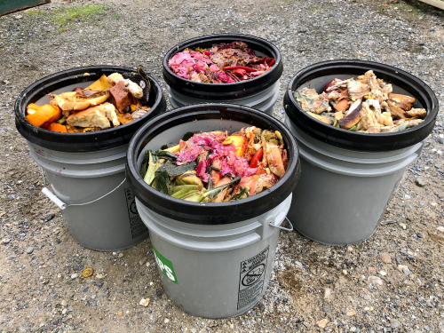 Four five-gallon buckets full of colorful food scraps.